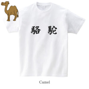 Camel / 駱駝