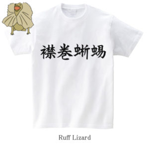 Ruff Lizard / 襟巻蜥蜴