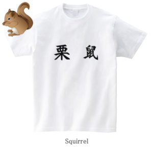 Squirrel / 栗鼠