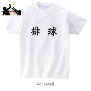 Volleyball / 排球（Haikyu）